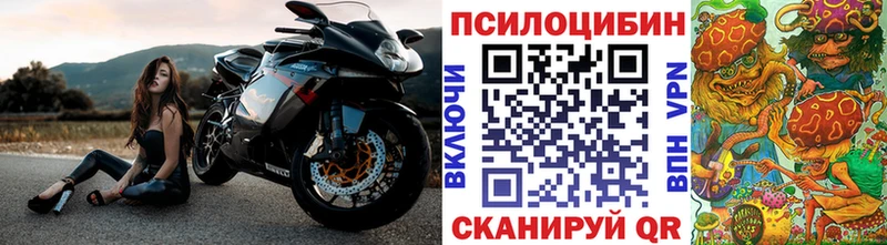 Купить  Иноземцево  Галлюциногенные грибы Psilocybe 